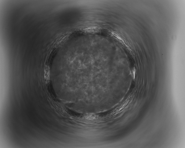 X0000097891251200803211348