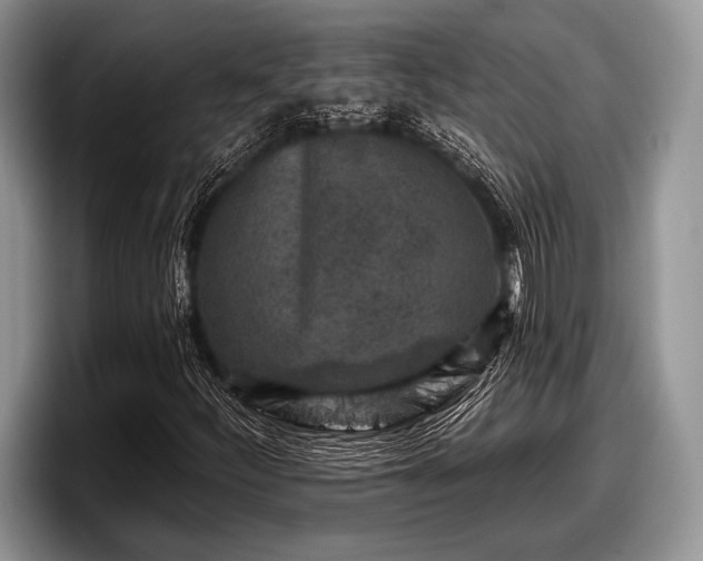 X0000097891252200803211348