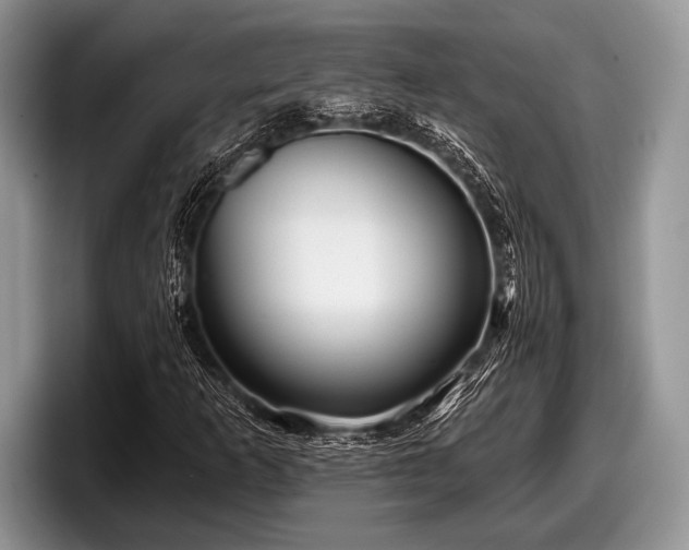 X0000097891253200803211348