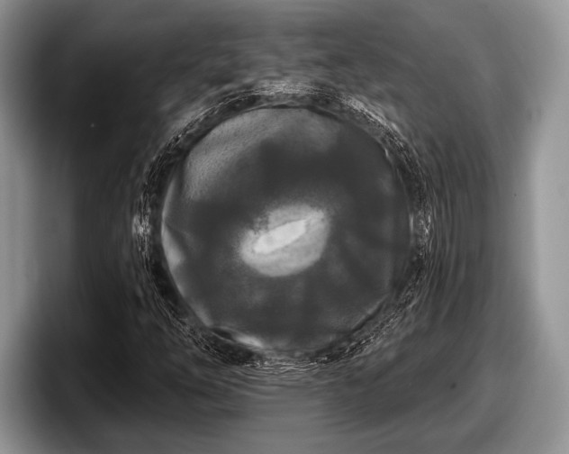 X0000097891254200803211348