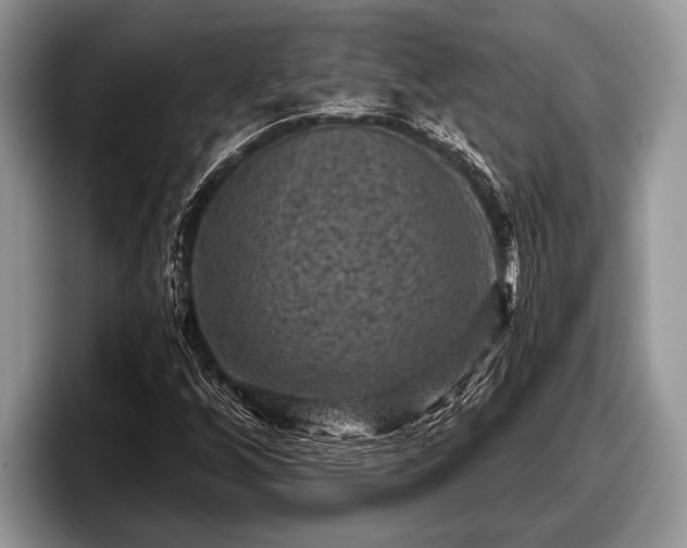 X0000097891256200803211348