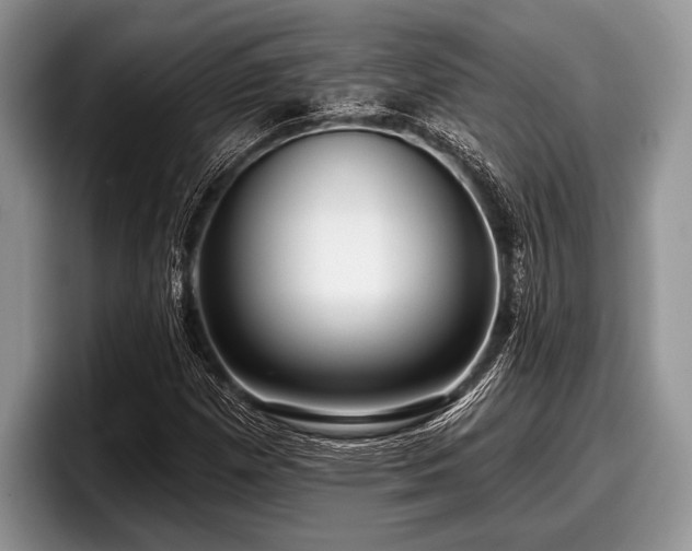 X0000097891257200803211348