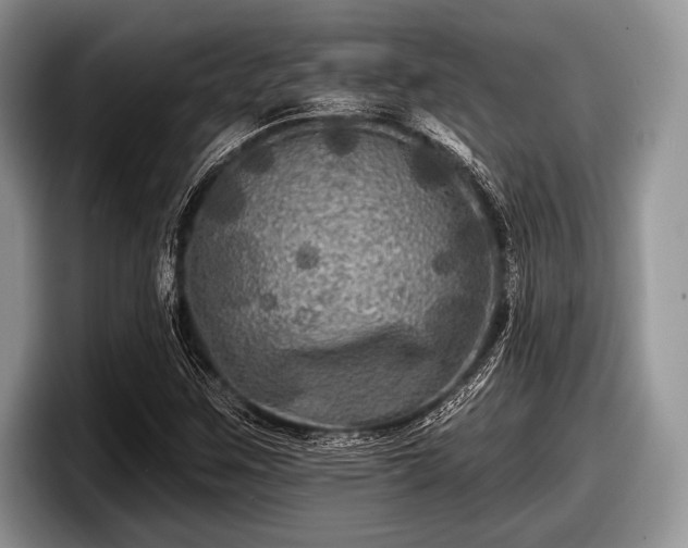 X0000097891259200803211348