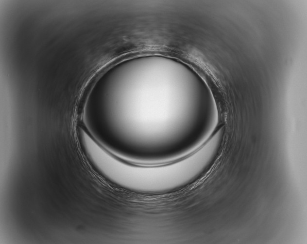 X0000097891260200803211348