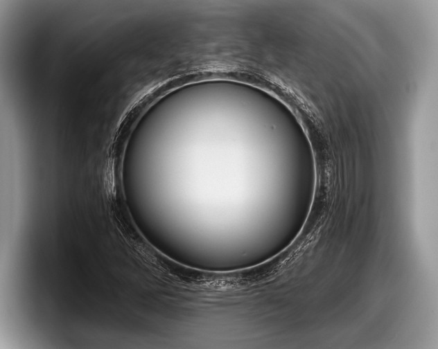 X0000097891262200803211348