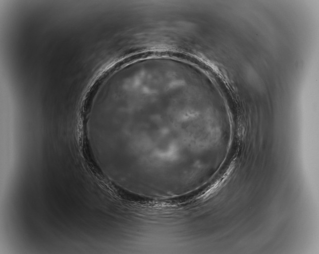 X0000097891263200803211348