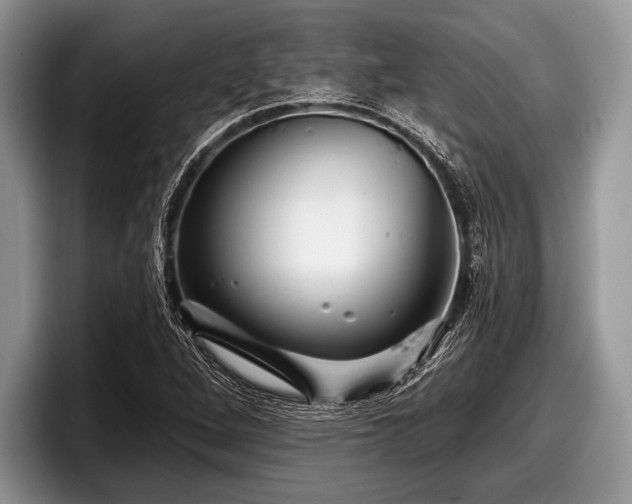 X0000097891264200803211348