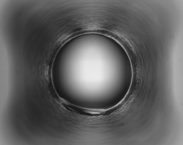 X0000097891265200803211348