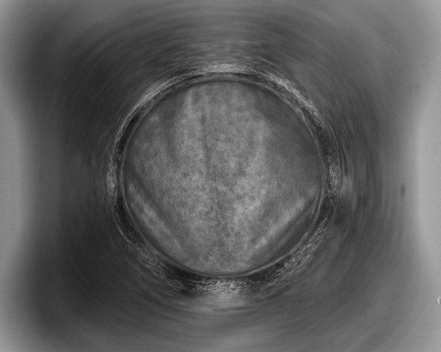 X0000097891266200803211348