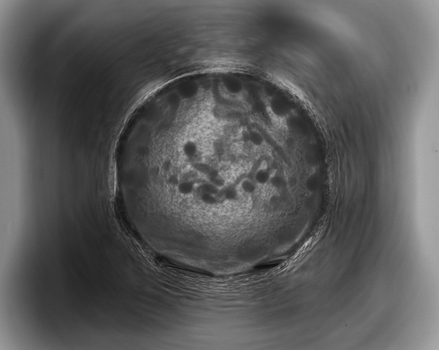 X0000097891267200803211348