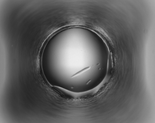 X0000097891268200803211348