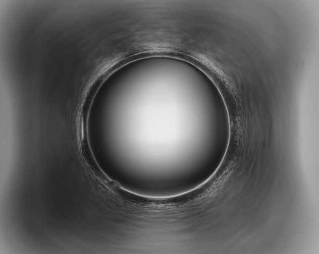 X0000097891269200803211348