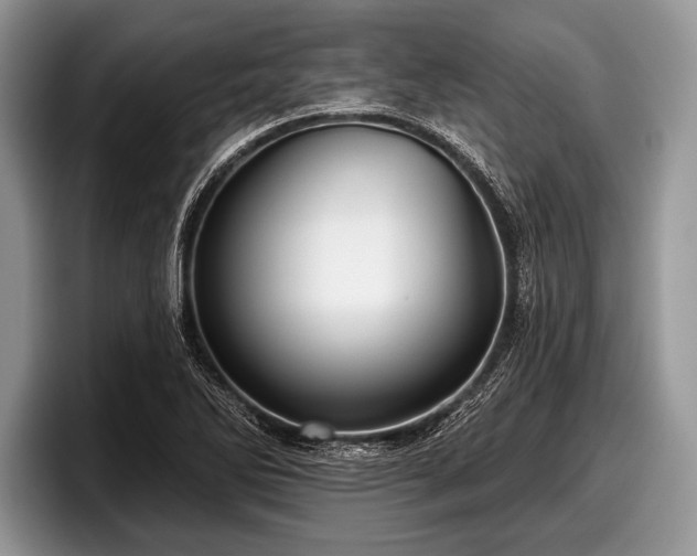 X0000097891270200803211348