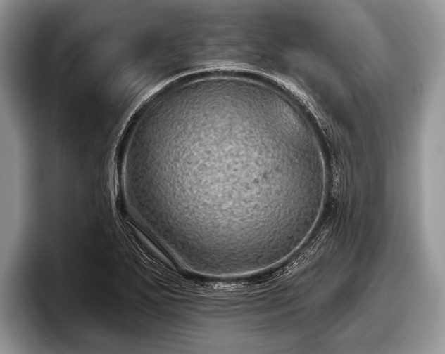 X0000097891271200803211348