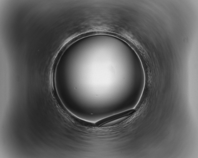 X0000097891272200803211348