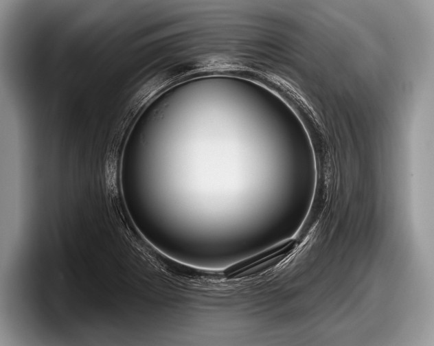 X0000097891273200803211348