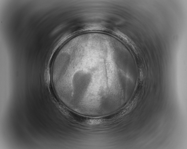 X0000097891274200803211348