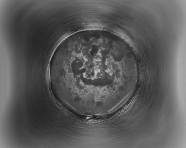 X0000097891275200803211348