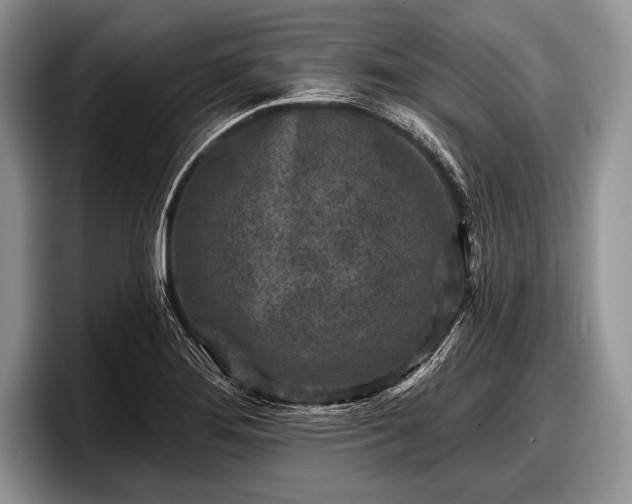 X0000097891276200803211348