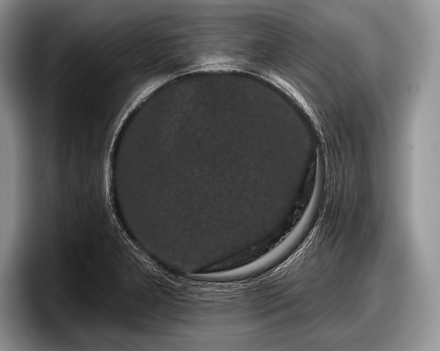 X0000097891277200803211348