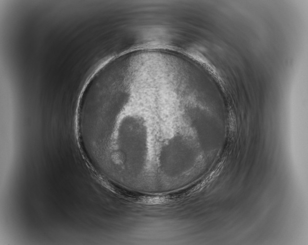 X0000097891278200803211348