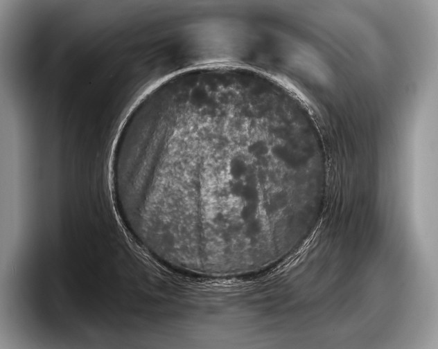 X0000097891279200803211348