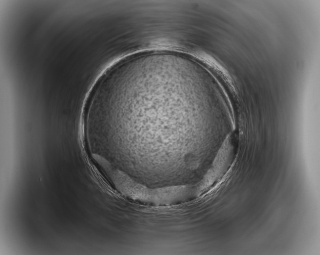 X0000097891280200803211348