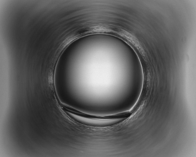 X0000097891281200803211348