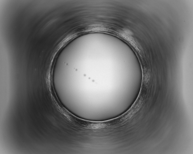 X0000097891282200803211348