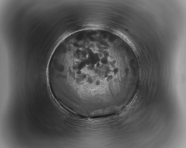 X0000097891283200803211348