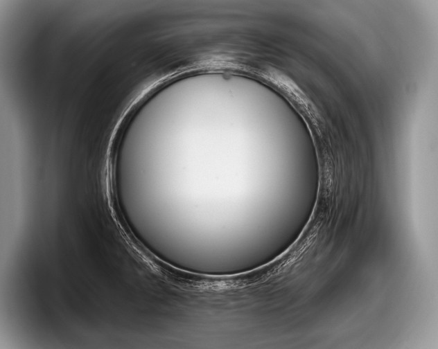 X0000097891286200803211348