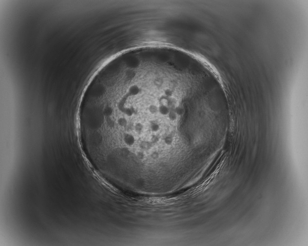 X0000097891287200803211348