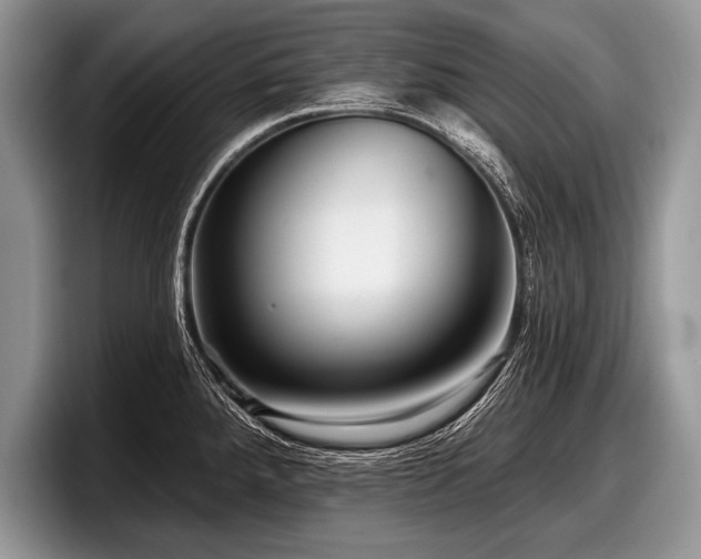 X0000097891288200803211348