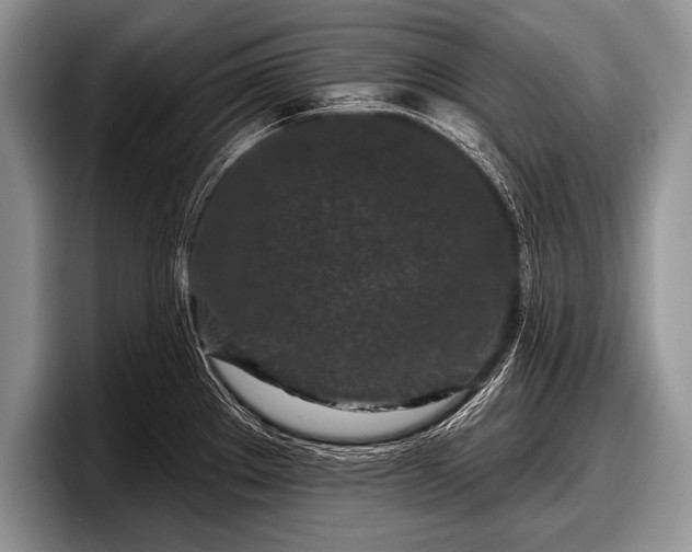 X0000097891289200803211348