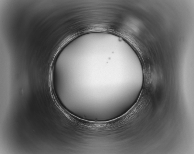 X0000097891290200803211348