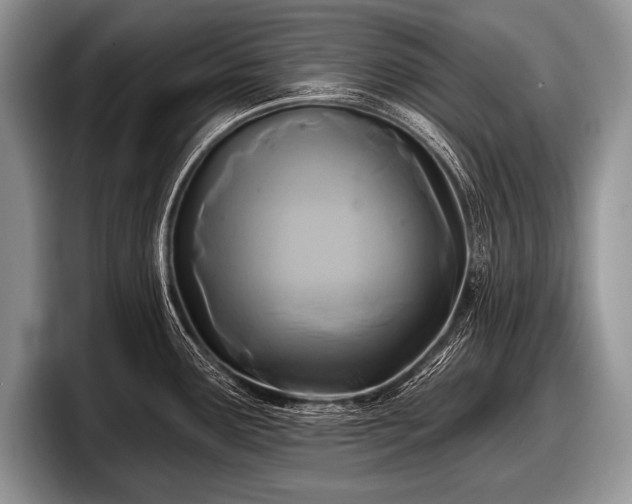 X0000097891291200803211348