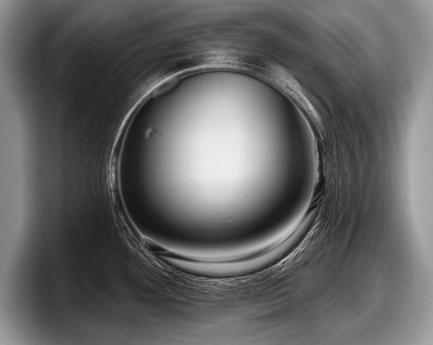 X0000097891292200803211348