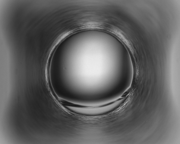 X0000097891293200803211348