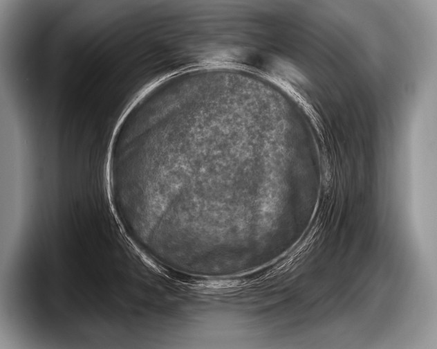 X0000097891294200803211348