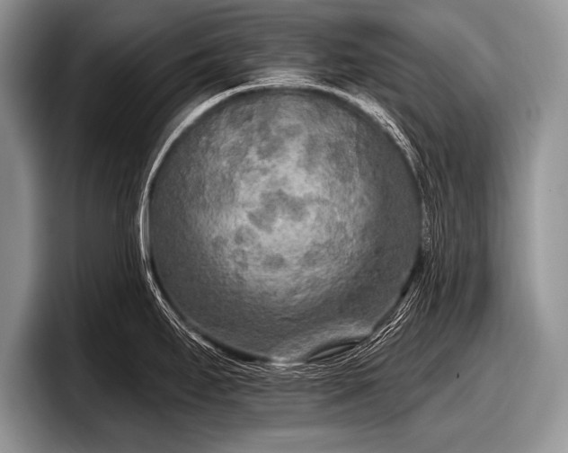 X0000097891295200803211348