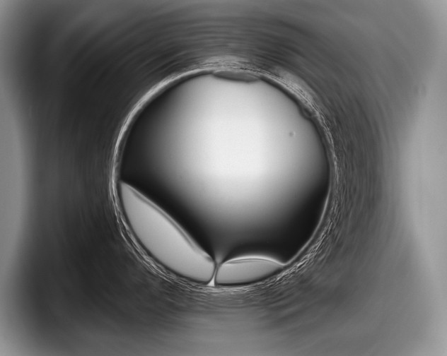 X0000097891296200803211348