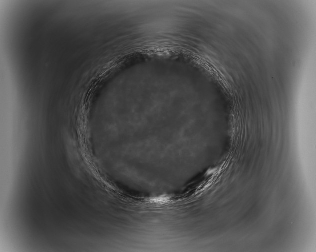 X0000097891297200803211347