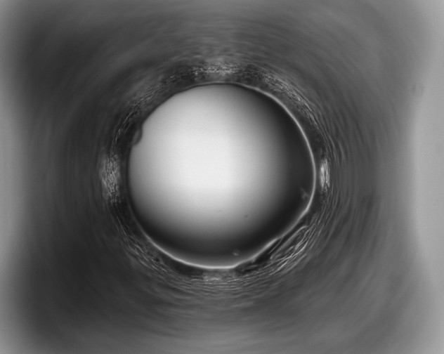 X0000097891299200803211347