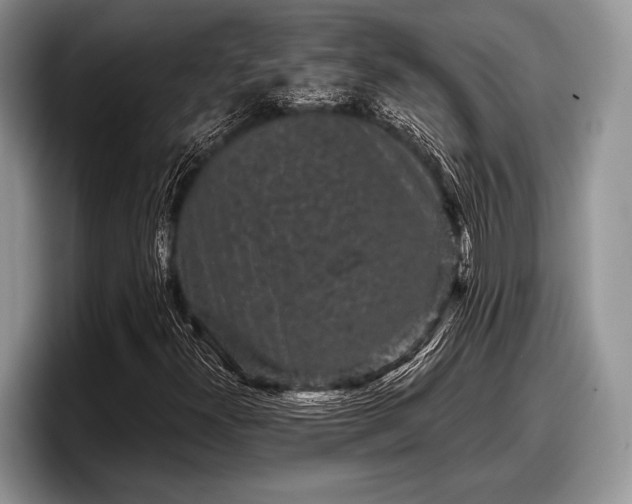 X0000097891300200803211347