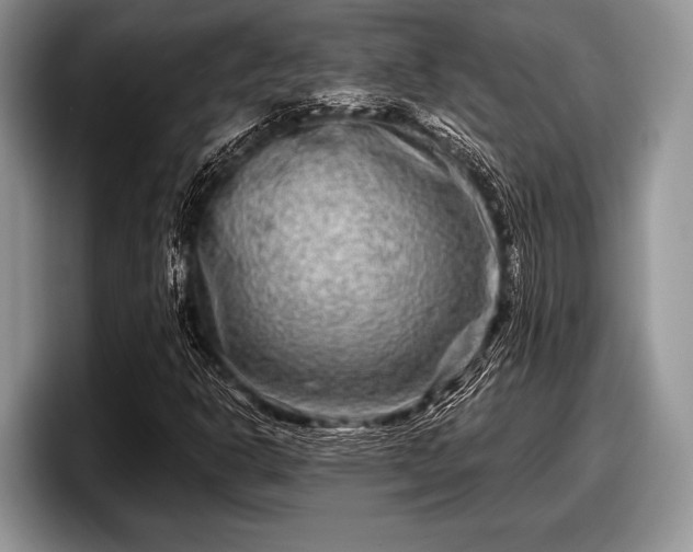 X0000097891302200803211347