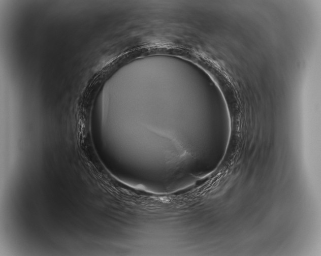 X0000097891303200803211347