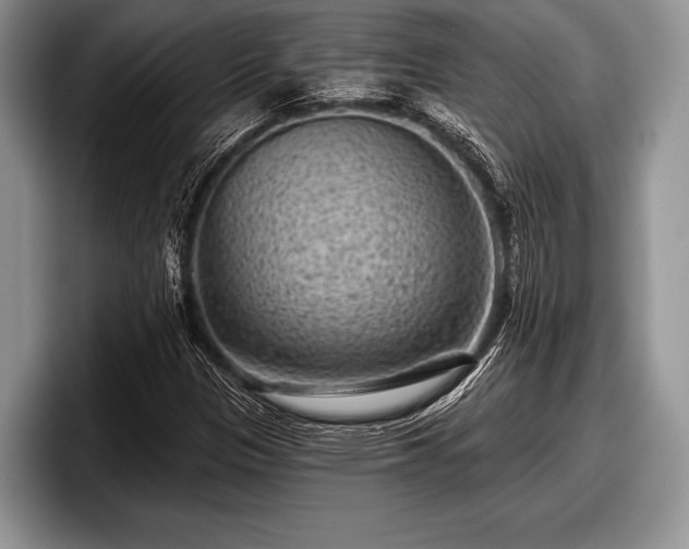 X0000097891305200803211347