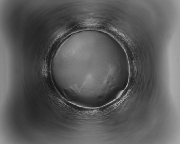 X0000097891306200803211347