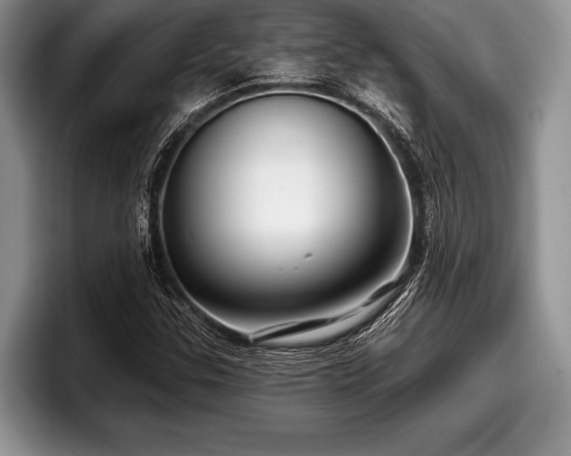 X0000097891307200803211347
