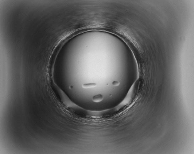 X0000097891308200803211347